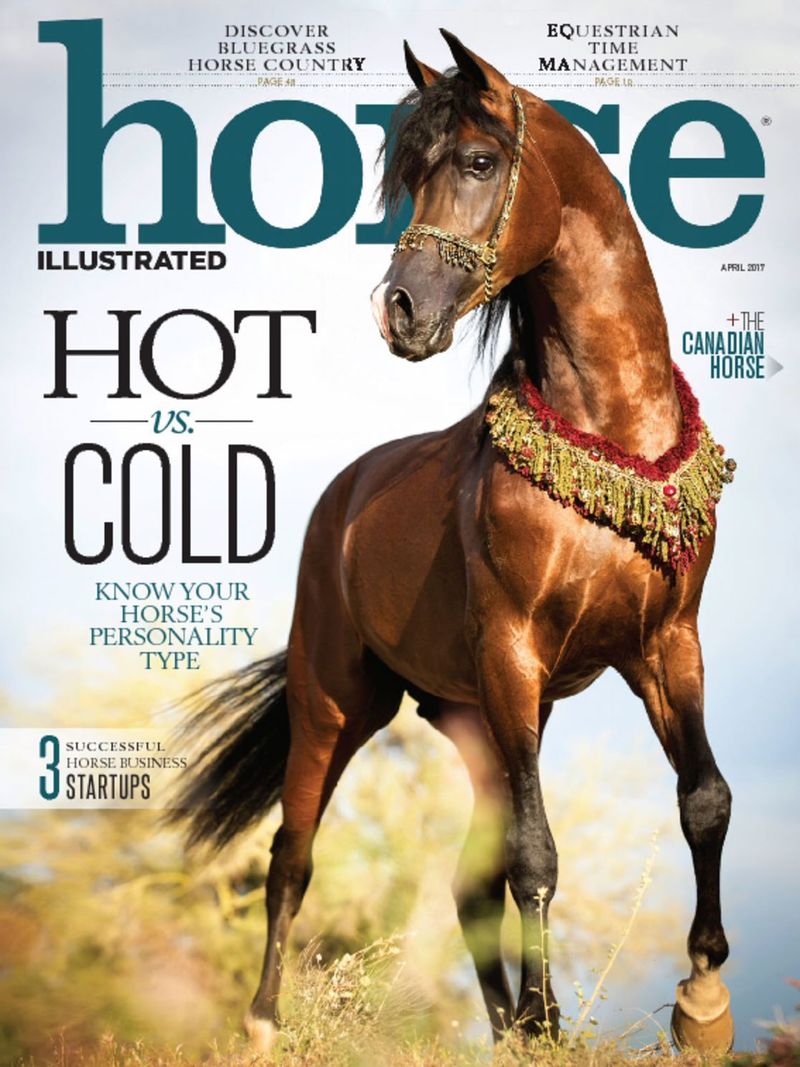 Horse-Illustrated April 01, 2017 Issue Cover