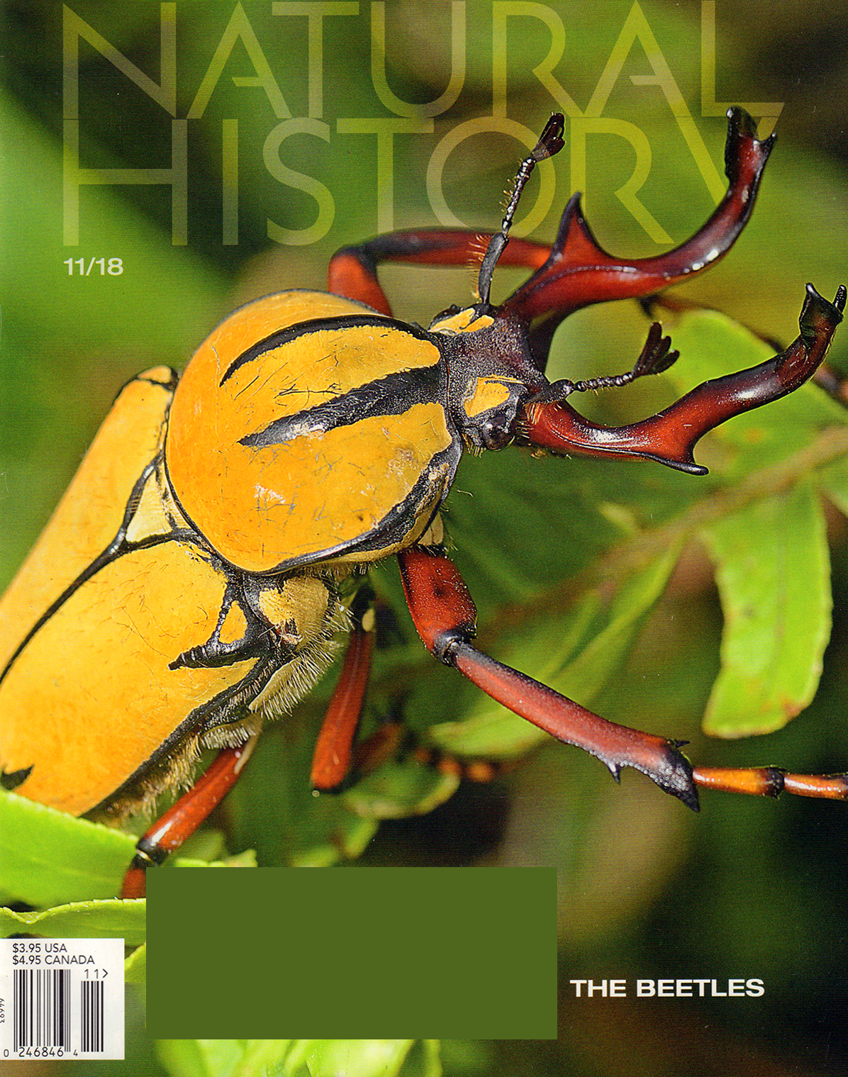 Natural-History November 01, 2018 Issue Cover