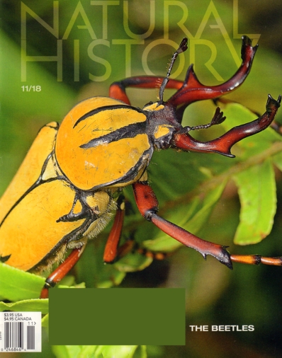 Natural History November 01, 2018 Issue Cover