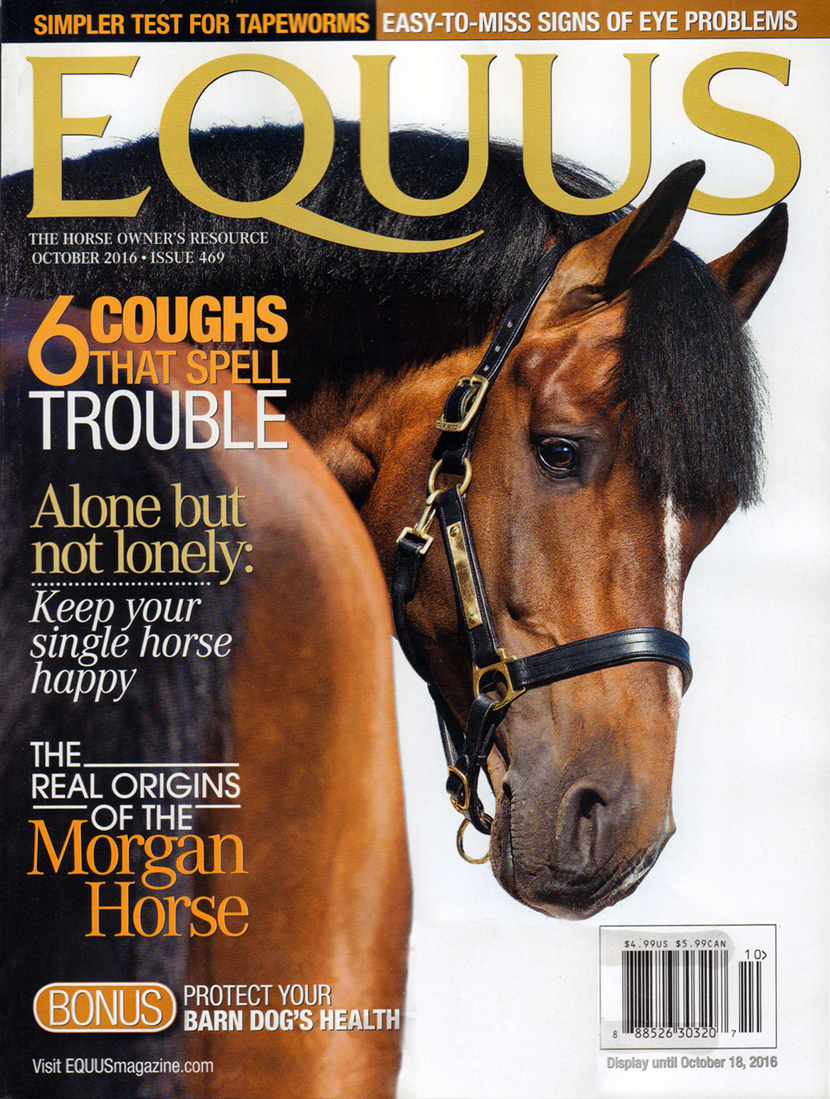Equus October 01, 2016 Issue Cover