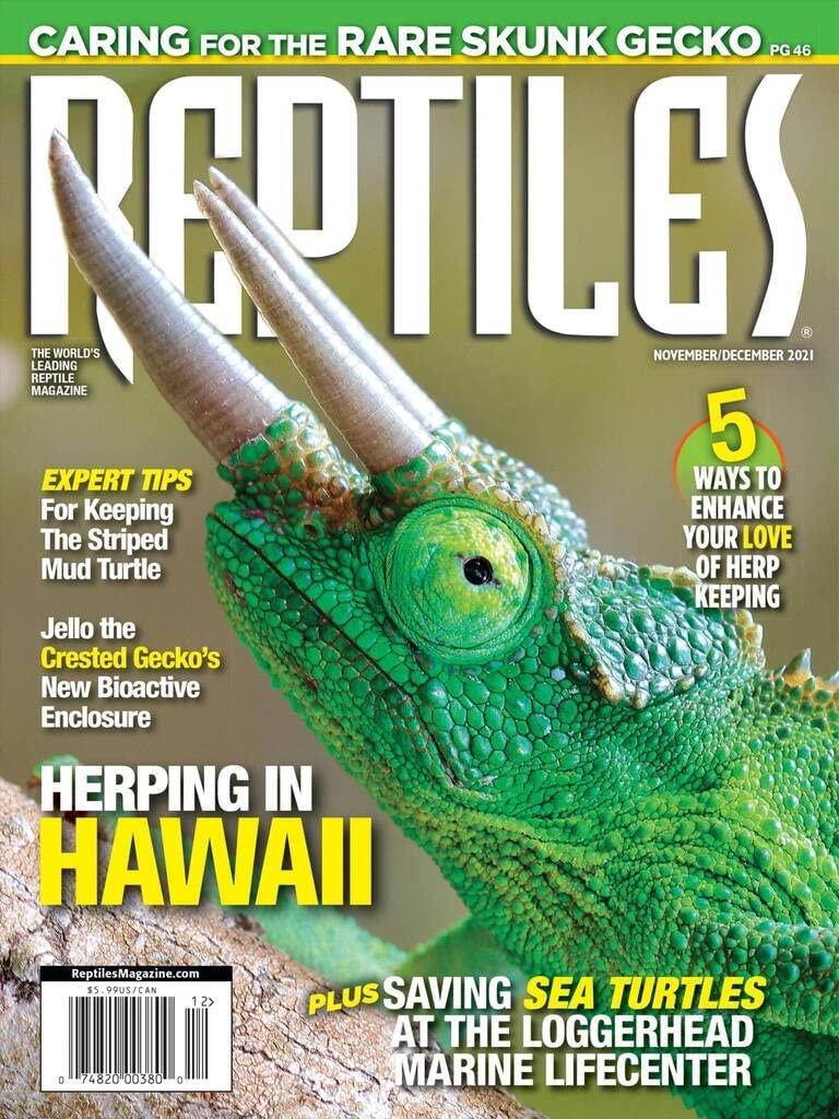 Reptiles November 01, 2021 Issue Cover
