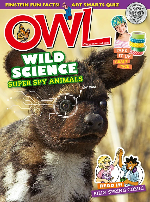 OWL March 01, 2021 Issue Cover