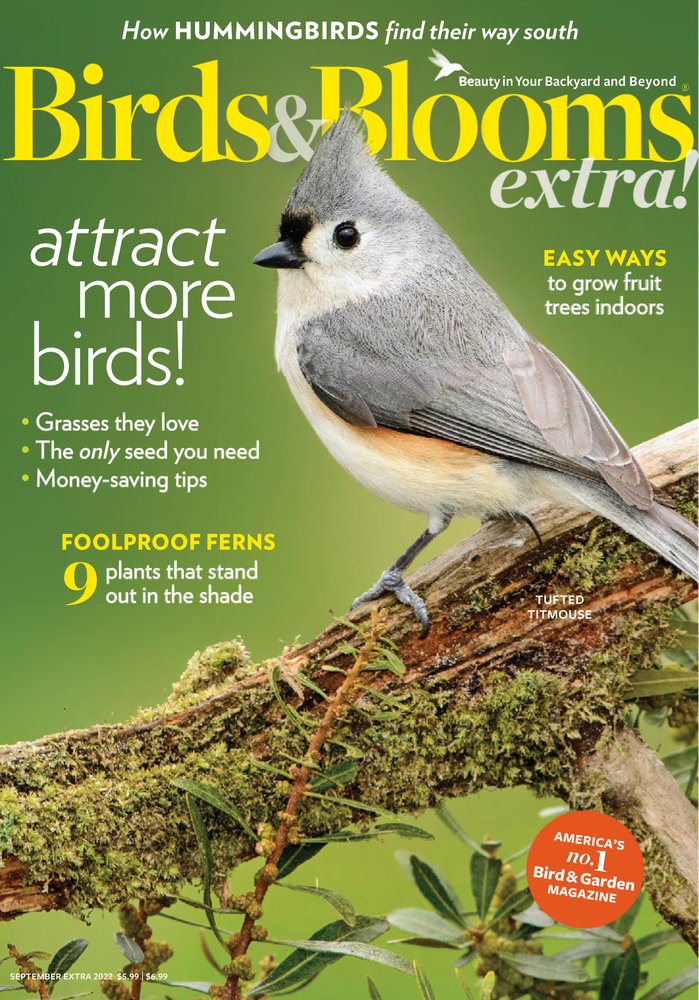 Birds-and-Blooms-Extra September 01, 2022 Issue Cover