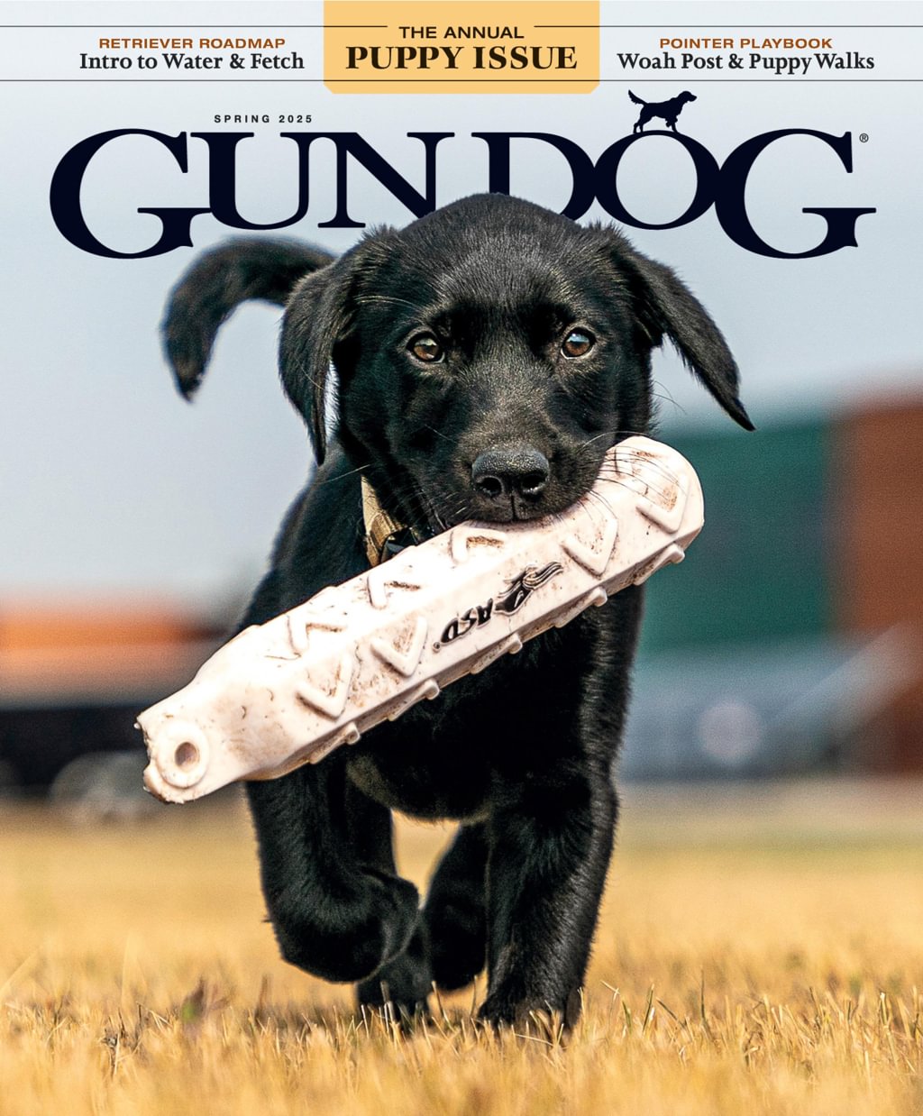 Gun-Dog March 01, 2025 Issue Cover