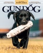 Gun-Dog March 01, 2025 Issue Cover