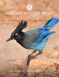 Arizona-Wildlife-Views May 01, 2026 Issue Cover