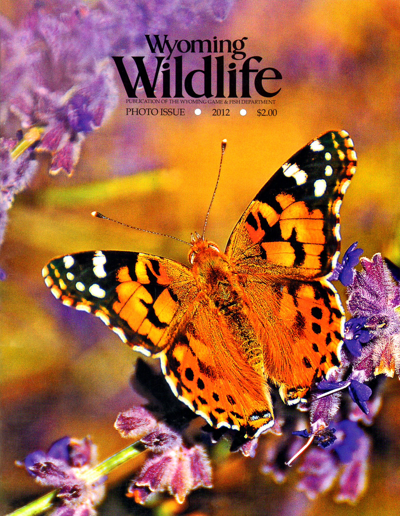 Wyoming-Wildlife April 01, 2012 Issue Cover