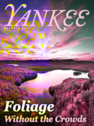 Yankee October 01, 2017 Issue Cover