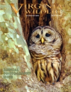 Virginia-Wildlife July 01, 2016 Issue Cover
