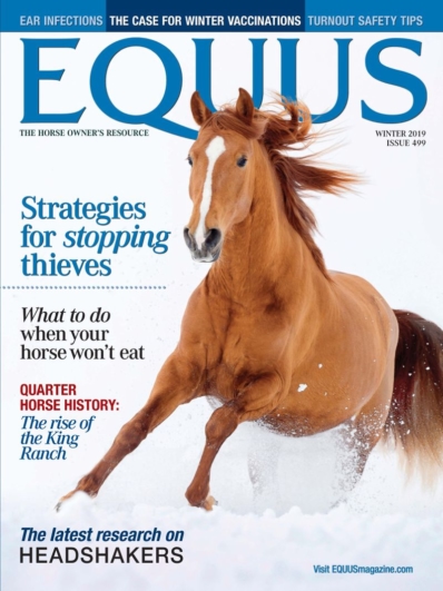 Equus December 01, 2019 Issue Cover