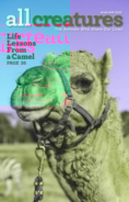 All-Creatures March 01, 2020 Issue Cover