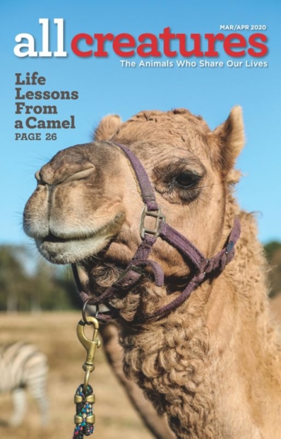 All Creatures March 01, 2020 Issue Cover