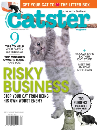 Catster September 01, 2017 Issue Cover