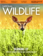 National-Wildlife August 01, 2022 Issue Cover