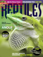 Reptiles January 01, 2017 Issue Cover