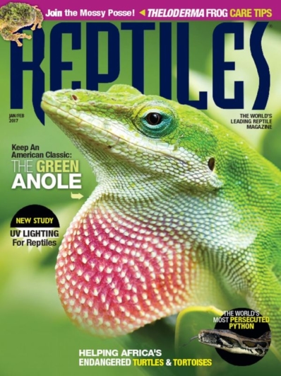 Reptiles January 01, 2017 Issue Cover