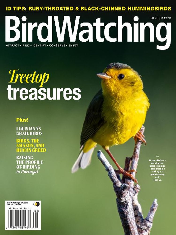 Bird-Watching August 01, 2023 Issue Cover