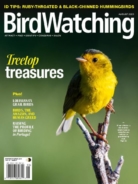 Bird-Watching August 01, 2023 Issue Cover