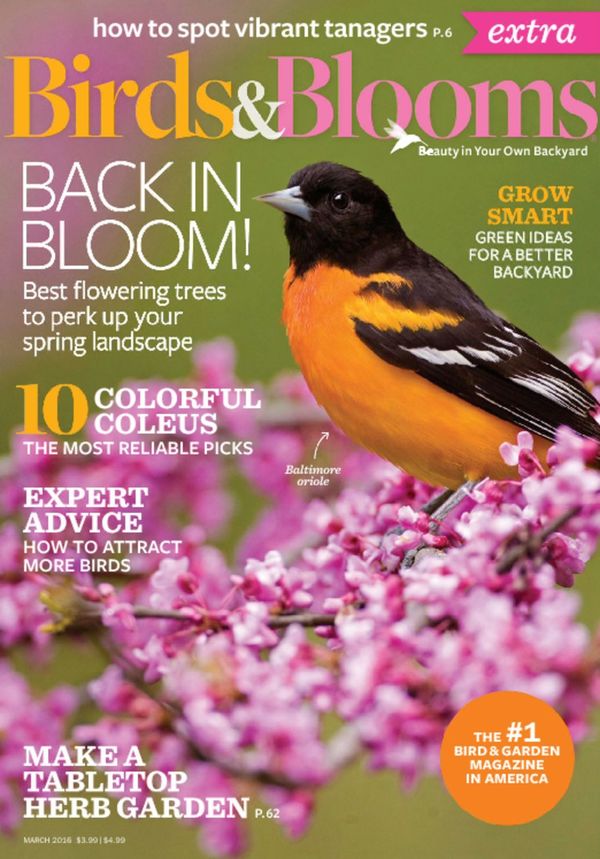 Birds-and-Blooms-Extra March 01, 2016 Issue Cover