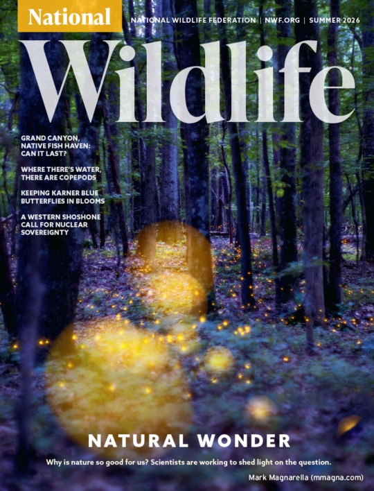 National Wildlife June 01, 2026 Issue Cover