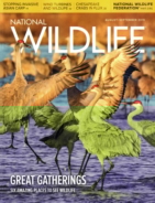 National-Wildlife August 01, 2019 Issue Cover