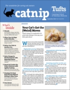 Catnip September 01, 2023 Issue Cover