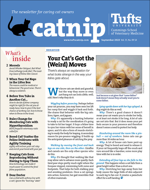 Catnip September 01, 2023 Issue Cover