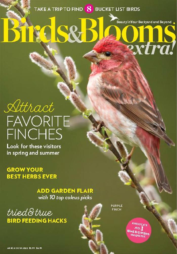 Birds And Blooms Extra | Magazine-Agent.com