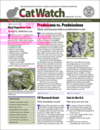 Catwatch September 01, 2019 Issue Cover