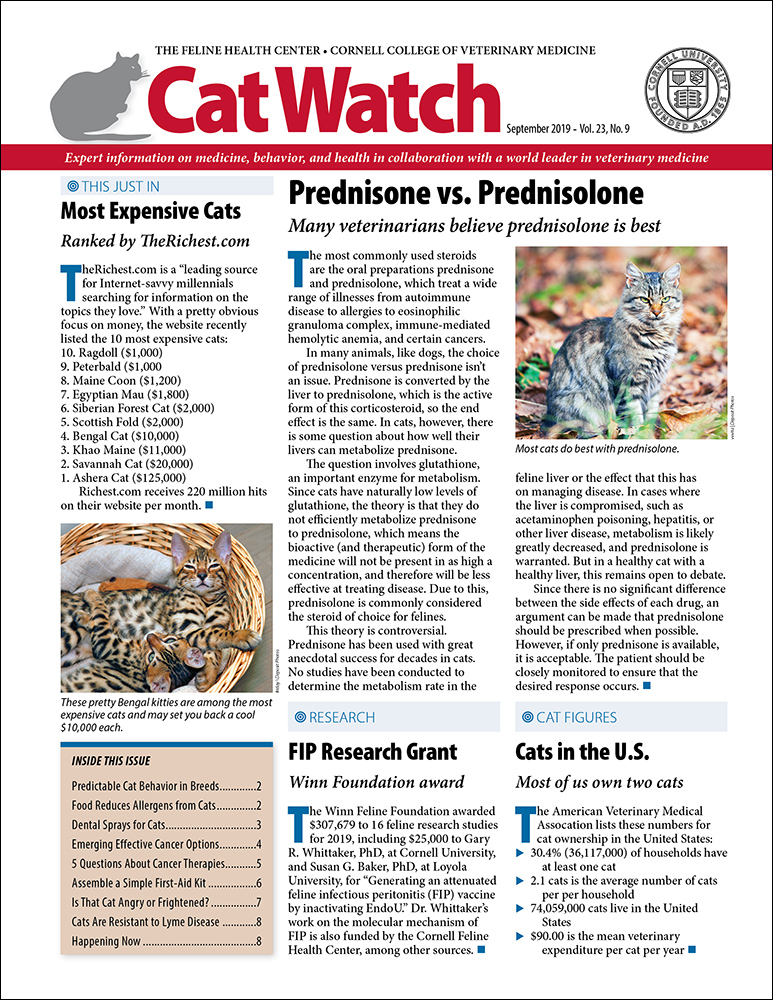 Catwatch September 01, 2019 Issue Cover