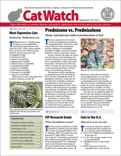 Catwatch September 01, 2019 Issue Cover