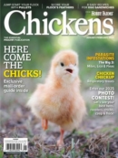 Chickens January 01, 2025 Issue Cover