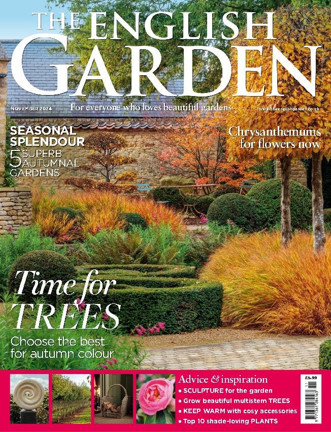 The-English-Garden November 01, 2024 Issue Cover