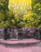 South-Carolina-Wildlife September 01, 2017 Issue Cover