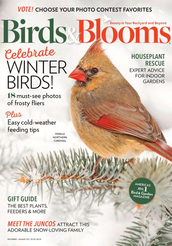 Birds-and-Blooms December 01, 2020 Issue Cover