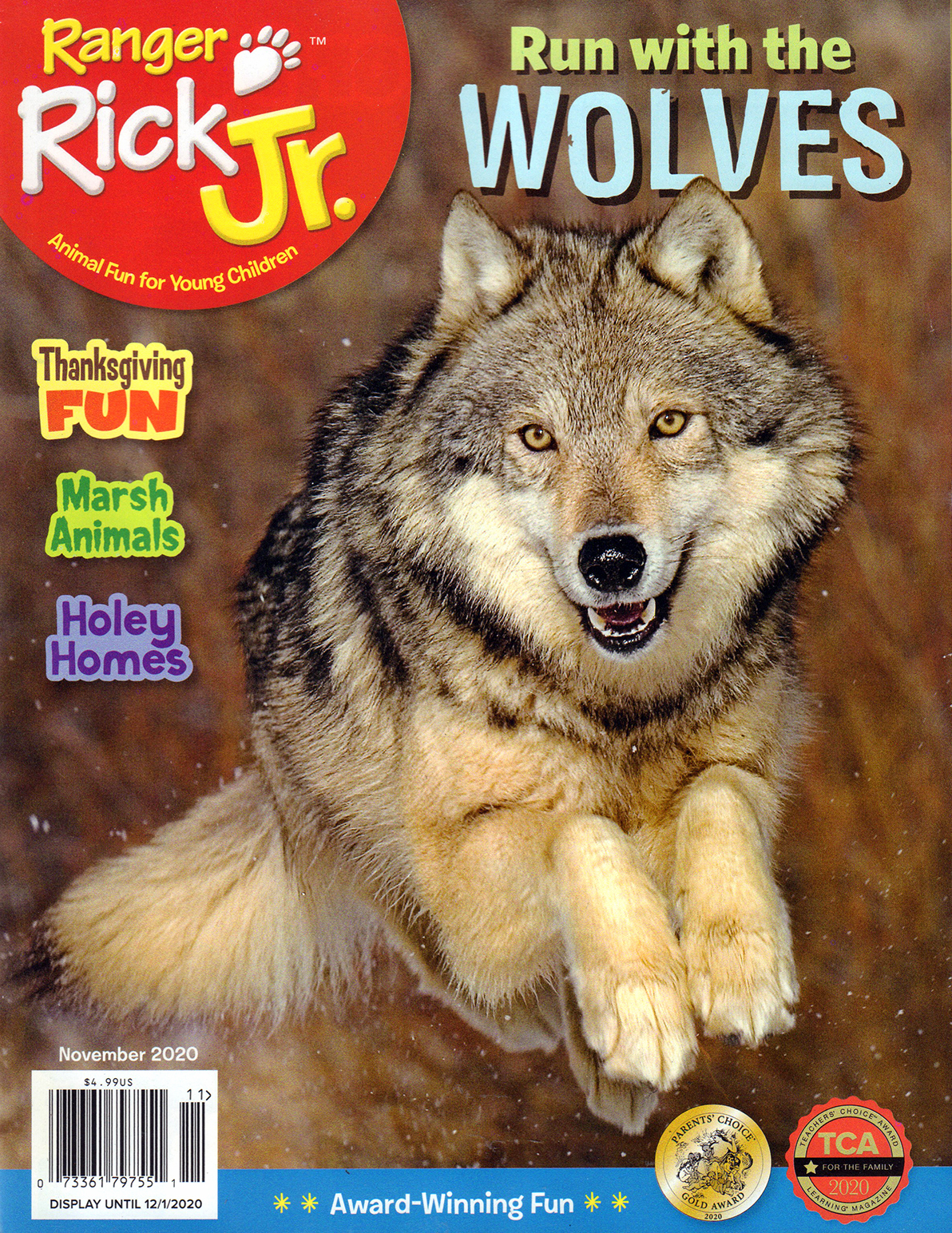 Ranger-Rick-Jr November 01, 2020 Issue Cover