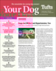 Your-Dog April 01, 2024 Issue Cover