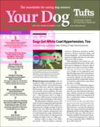 Your-Dog April 01, 2024 Issue Cover