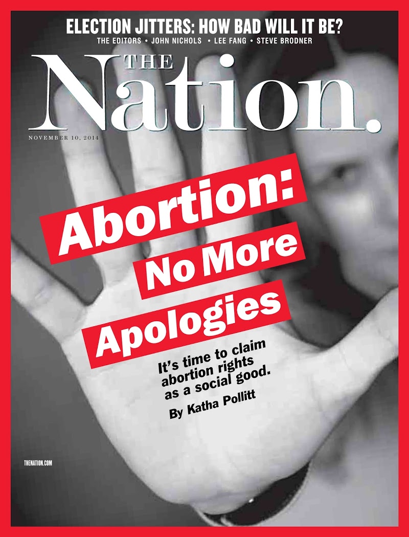 the-nation November 10, 2014 Issue Cover