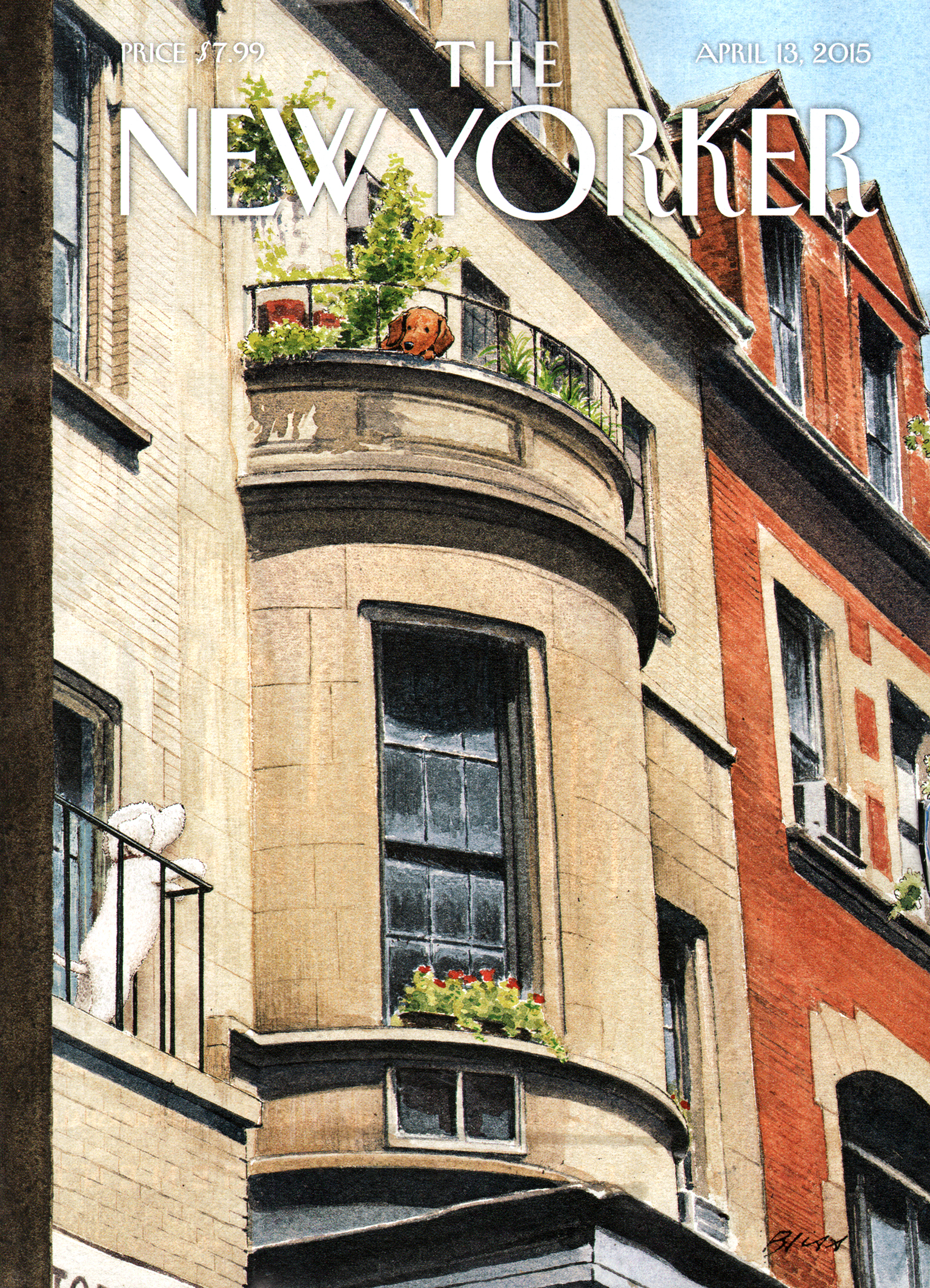 The-New-Yorker April 13, 2015 Issue Cover