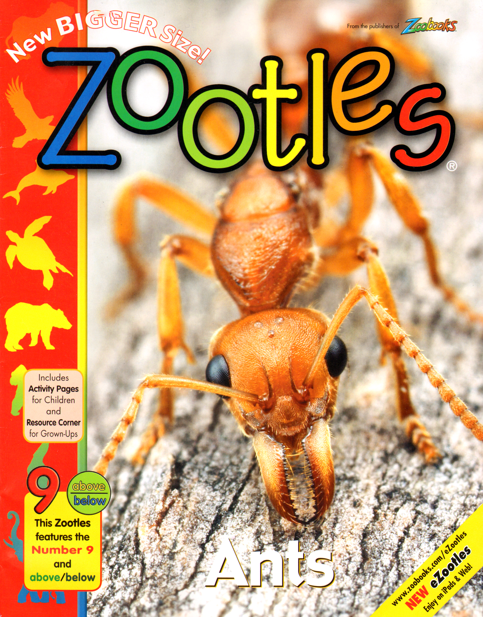 Zootles October 01, 2013 Issue Cover