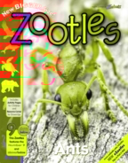 Zootles October 01, 2013 Issue Cover