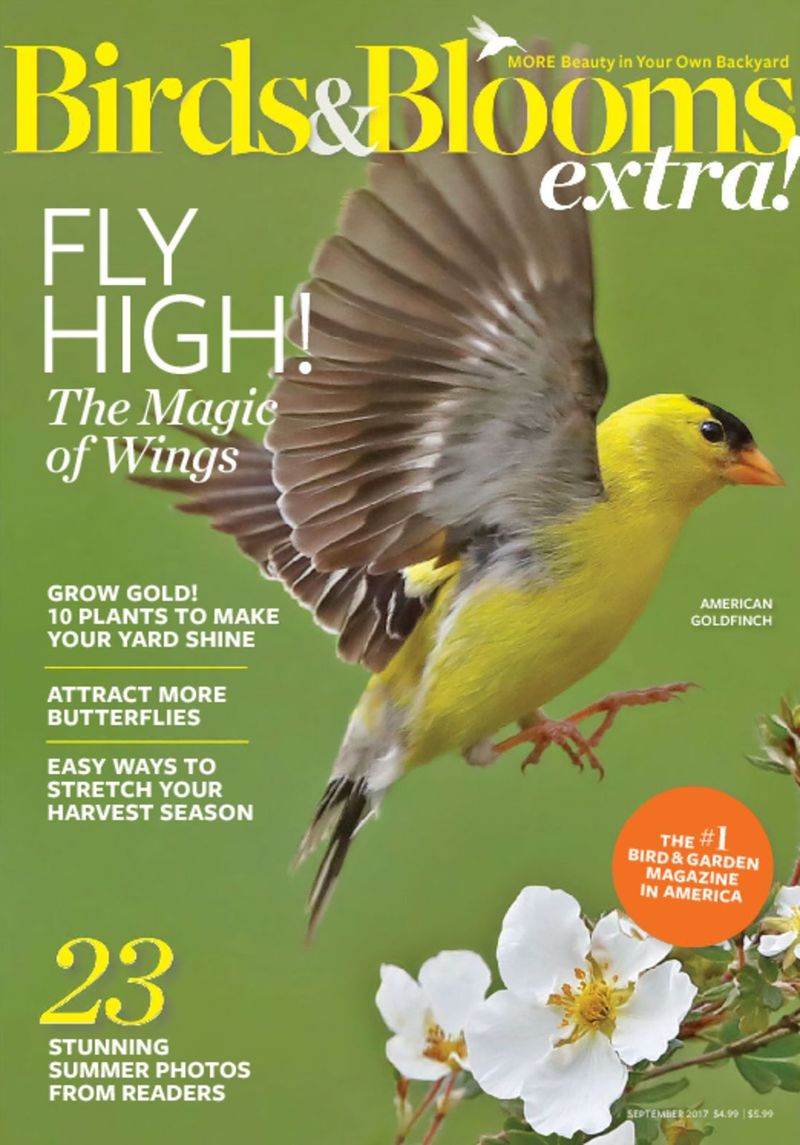 Birds-and-Blooms-Extra September 01, 2017 Issue Cover