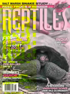 Reptiles May 01, 2019 Issue Cover