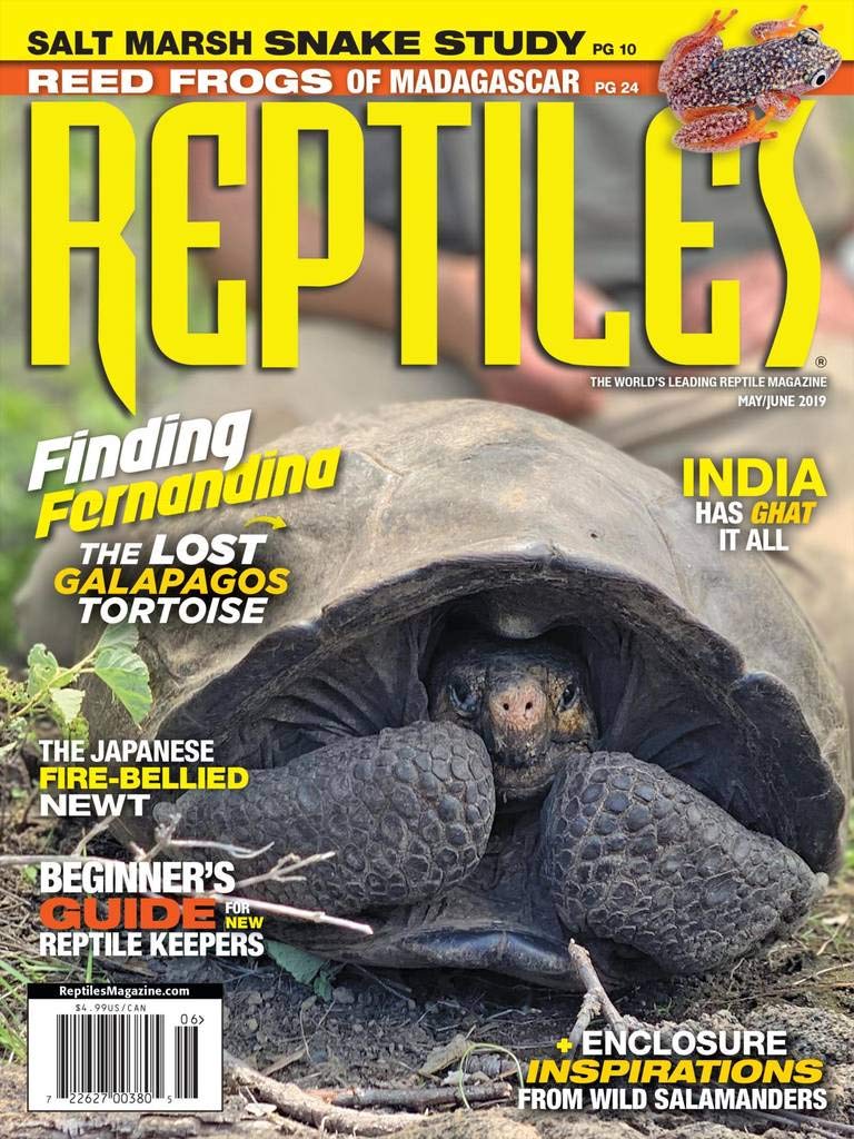 Reptiles May 01, 2019 Issue Cover