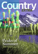 Country-Extra July 01, 2017 Issue Cover