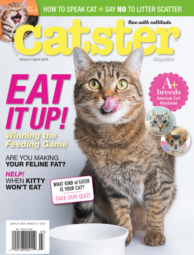 Catster March 01, 2018 Issue Cover