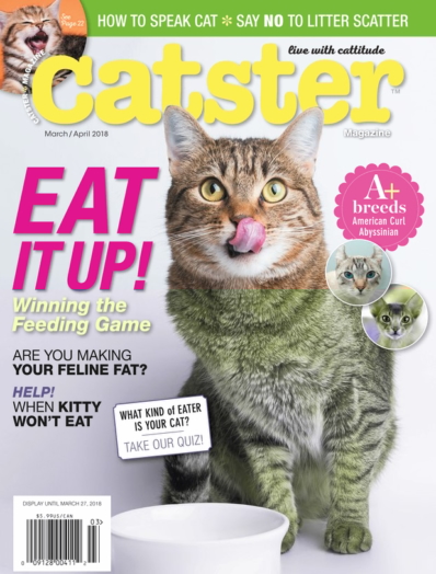 Catster March 01, 2018 Issue Cover