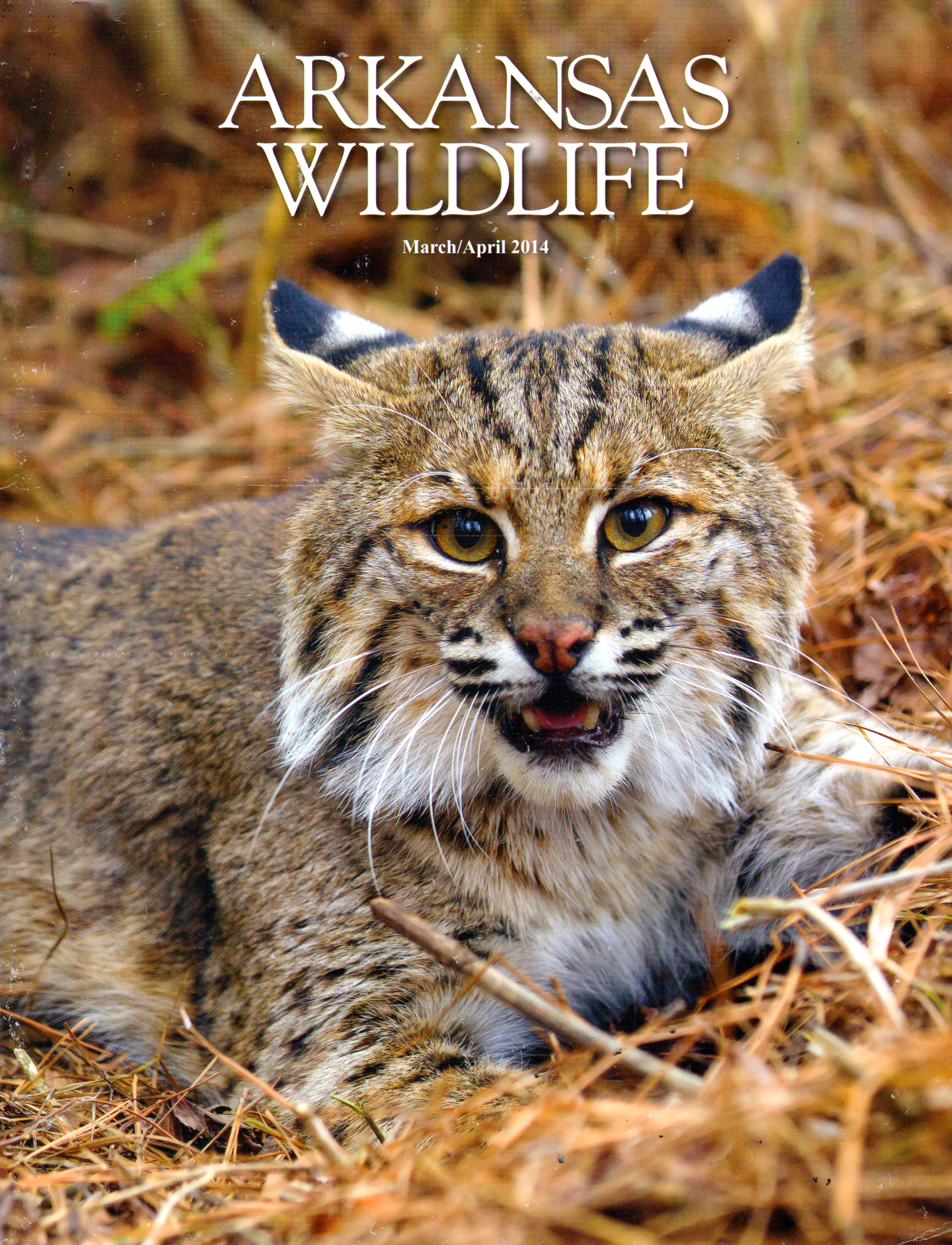 Arkansas-Wildlife March 01, 2014 Issue Cover
