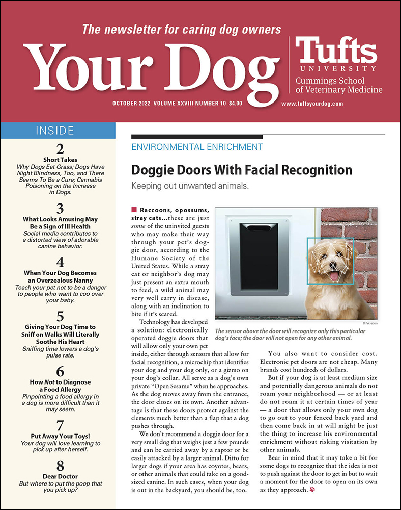 Your-Dog October 01, 2022 Issue Cover